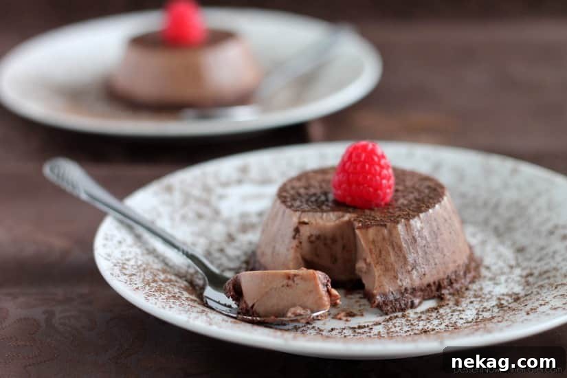Chocolate Panna Cotta