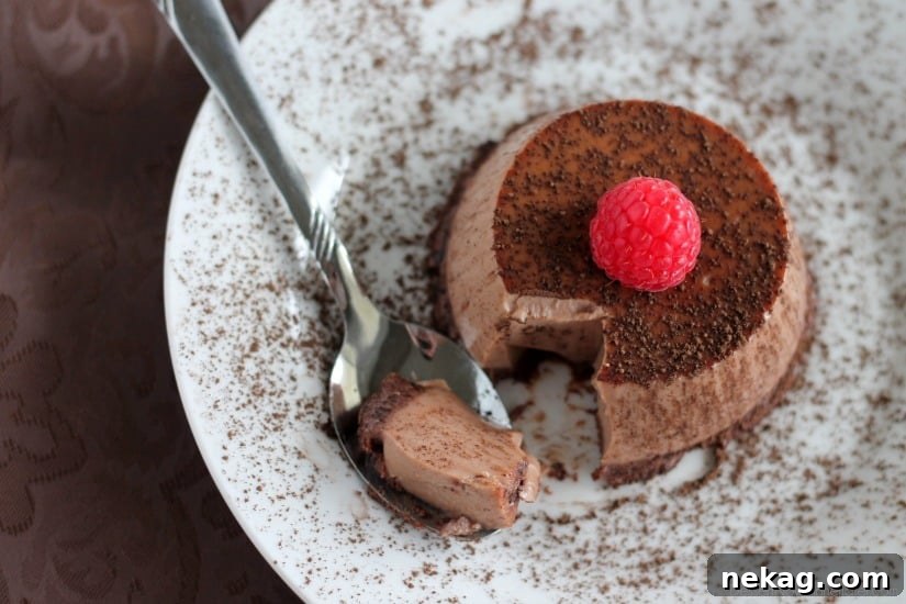 Chocolate Panna Cotta