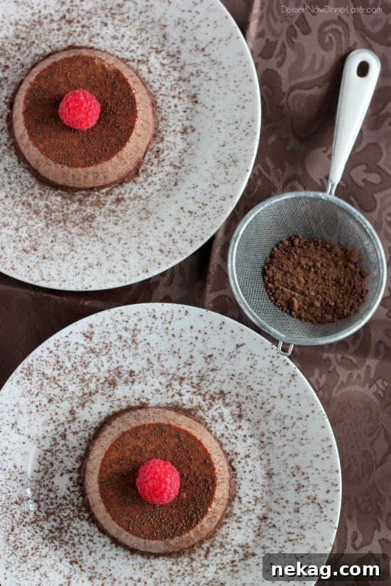 Chocolate Panna Cotta