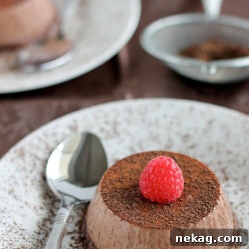 Chocolate Panna Cotta