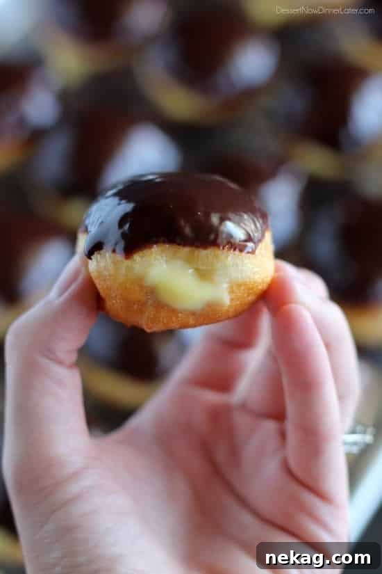 Mini Boston Cream Donuts