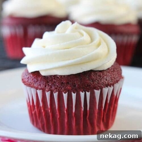 Cream Cheese Frosting Recipe with Video Tutorial 7 The BEST Cream Cheese Frosting - thick, sturdy, and pipeable, plus not overly sweet!