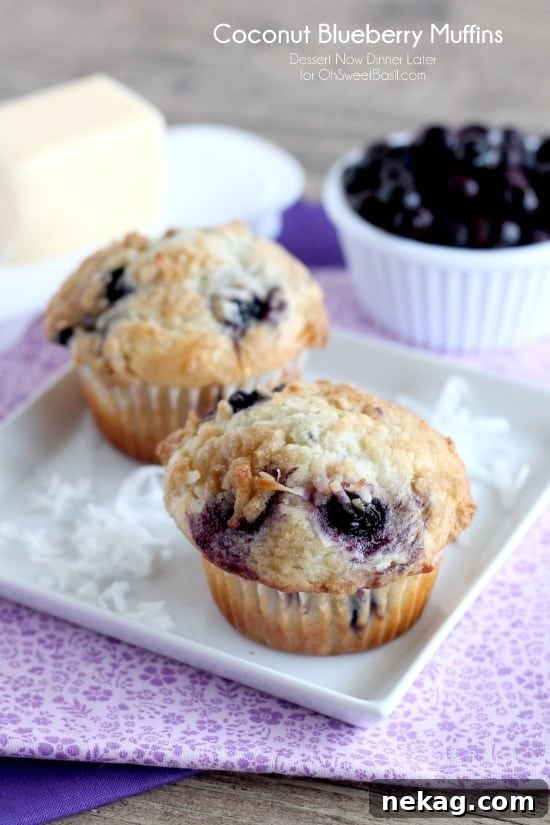 Coconut Blueberry Muffins with Lemony Streusel 2 Coconut Blueberry Muffins