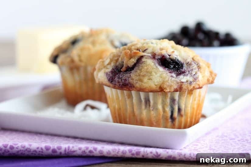 Coconut Blueberry Muffins with Lemony Streusel 3 Coconut Blueberry Muffins
