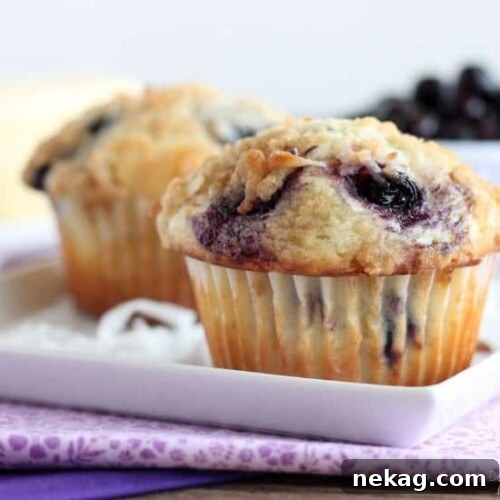 Coconut Blueberry Muffins with Lemony Streusel 4 Coconut Blueberry Muffins