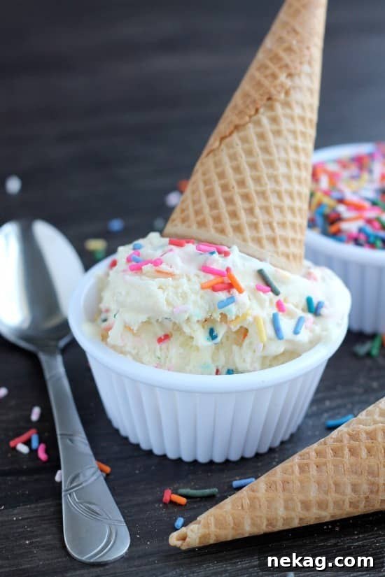 No-Churn Cake Batter Ice Cream Recipe — No Ice Cream Maker Needed 3 No Churn Cake Batter Ice Cream6
