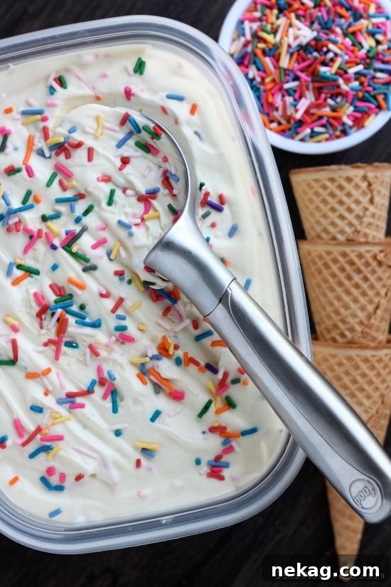 No-Churn Cake Batter Ice Cream Recipe — No Ice Cream Maker Needed 4 No Churn Cake Batter Ice Cream