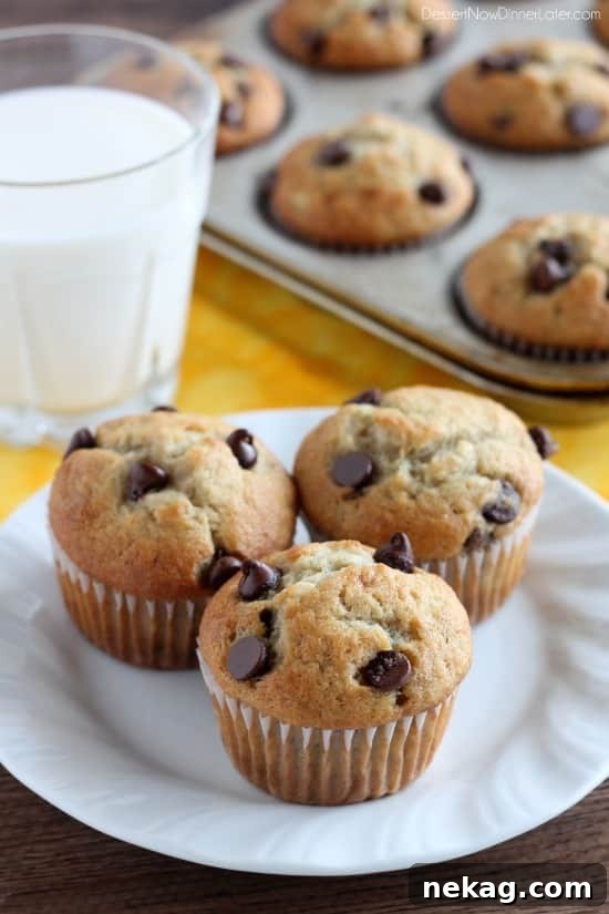 Banana Chocolate Chip Muffins Recipe — Moist Banana Muffins with Chocolate Chips 2 Banana Chocolate Chip Muffins from DessertNowDinnerLater.com