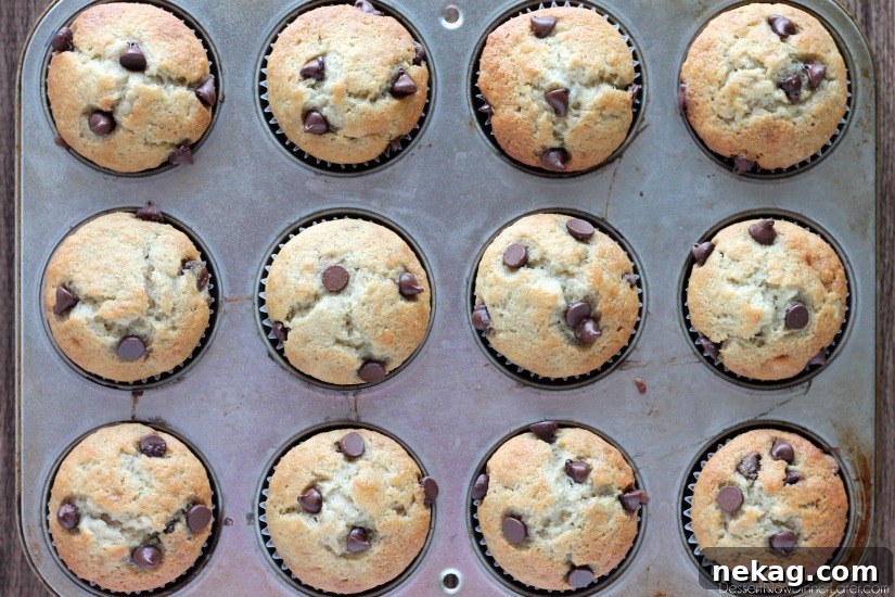 Banana Chocolate Chip Muffins Recipe — Moist Banana Muffins with Chocolate Chips 3 Banana Chocolate Chip Muffins from DessertNowDinnerLater.com