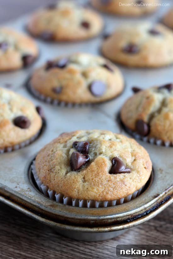 Banana Chocolate Chip Muffins Recipe — Moist Banana Muffins with Chocolate Chips 4 Banana Chocolate Chip Muffins from DessertNowDinnerLater.com
