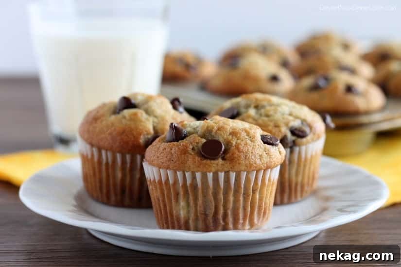 Banana Chocolate Chip Muffins Recipe — Moist Banana Muffins with Chocolate Chips 5 Banana Chocolate Chip Muffins from DessertNowDinnerLater.com