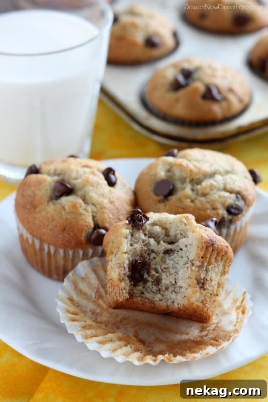 Banana Chocolate Chip Muffins Recipe — Moist Banana Muffins with Chocolate Chips 6 Banana Chocolate Chip Muffins from DessertNowDinnerLater.com