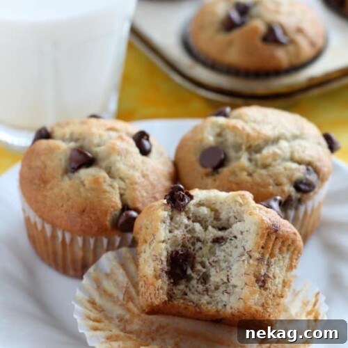 Banana Chocolate Chip Muffins Recipe — Moist Banana Muffins with Chocolate Chips 7 Banana Chocolate Chip Muffins from DessertNowDinnerLater.com