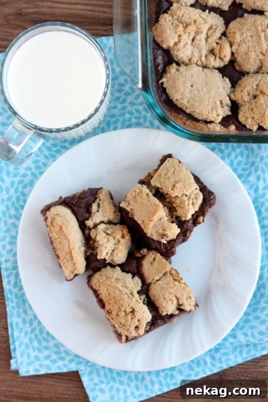 Chewy Oatmeal Fudge Bars with Chocolate Swirl 3 Oatmeal Fudge Bars from DessertNowDinnerLater.com