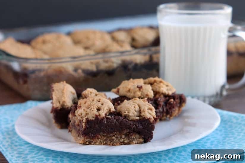 Chewy Oatmeal Fudge Bars with Chocolate Swirl 4 Oatmeal Fudge Bars from DessertNowDinnerLater.com
