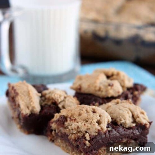 Chewy Oatmeal Fudge Bars with Chocolate Swirl 5 Oatmeal Fudge Bars from DessertNowDinnerLater.com