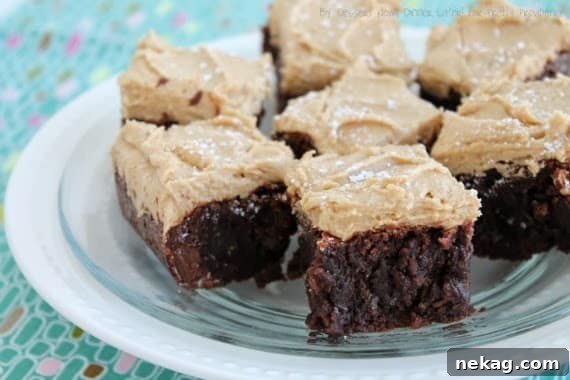 Brownie closeup