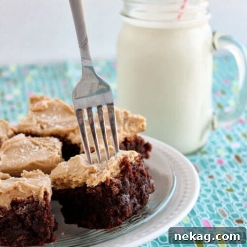 Peanut Butter Brownie Bites finished