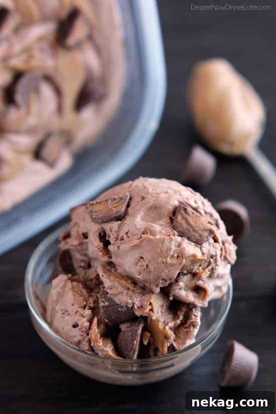 NO CHURN Chocolate Peanut Butter Cup Ice Cream from DessertNowDinnerLater.com