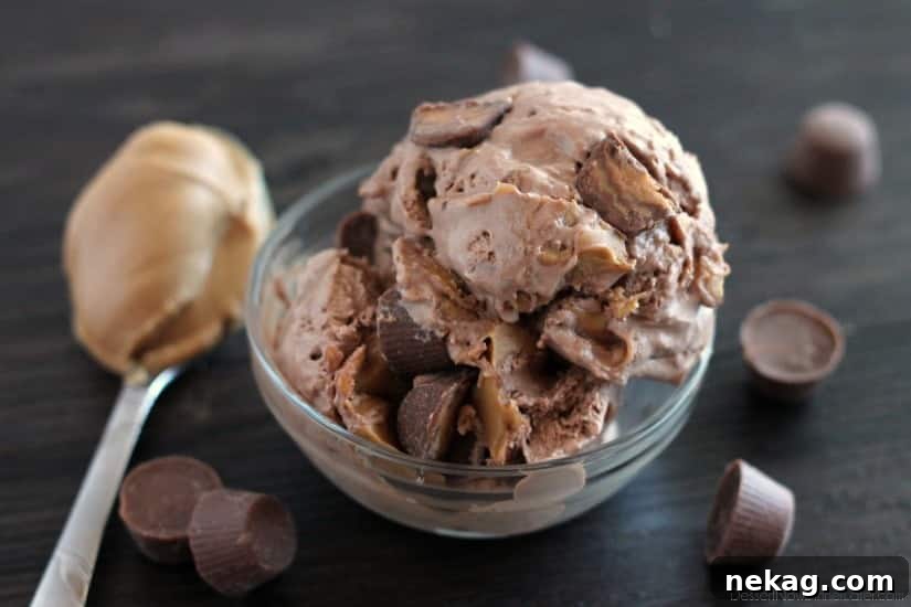  NO CHURN Chocolate Peanut Butter Cup Ice Cream from DessertNowDinnerLater.com