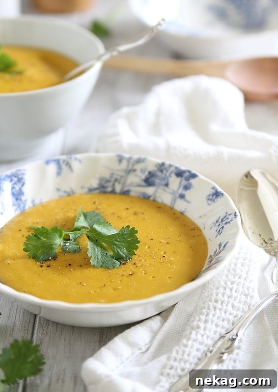 35 Delicious Soup Recipes to Warm Your Weeknight Meals 11 potato pumpkin soup