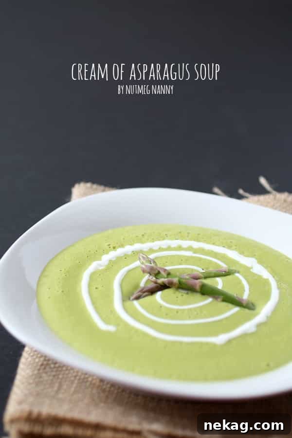 35 Delicious Soup Recipes to Warm Your Weeknight Meals 14 Cream-of-Asparagus-Soup