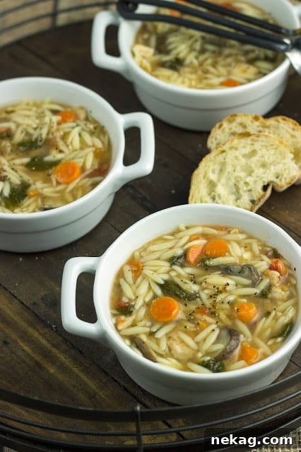 35 Delicious Soup Recipes to Warm Your Weeknight Meals 17 Spinach-Chicken-Orzo-Soup