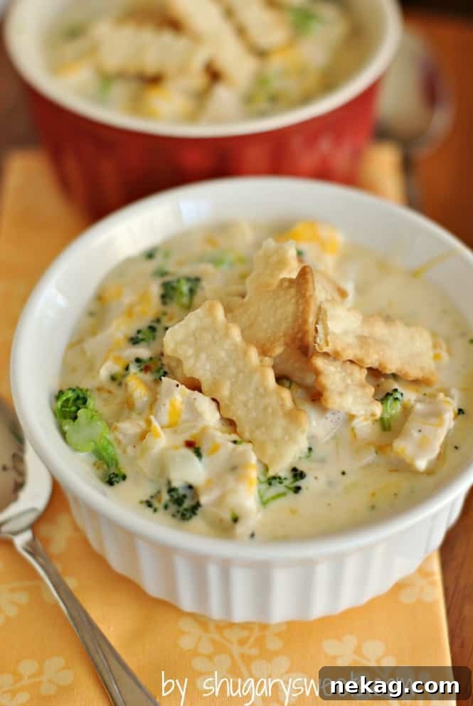 35 Delicious Soup Recipes to Warm Your Weeknight Meals 22 chicken-broccoli-pot-pie-soup