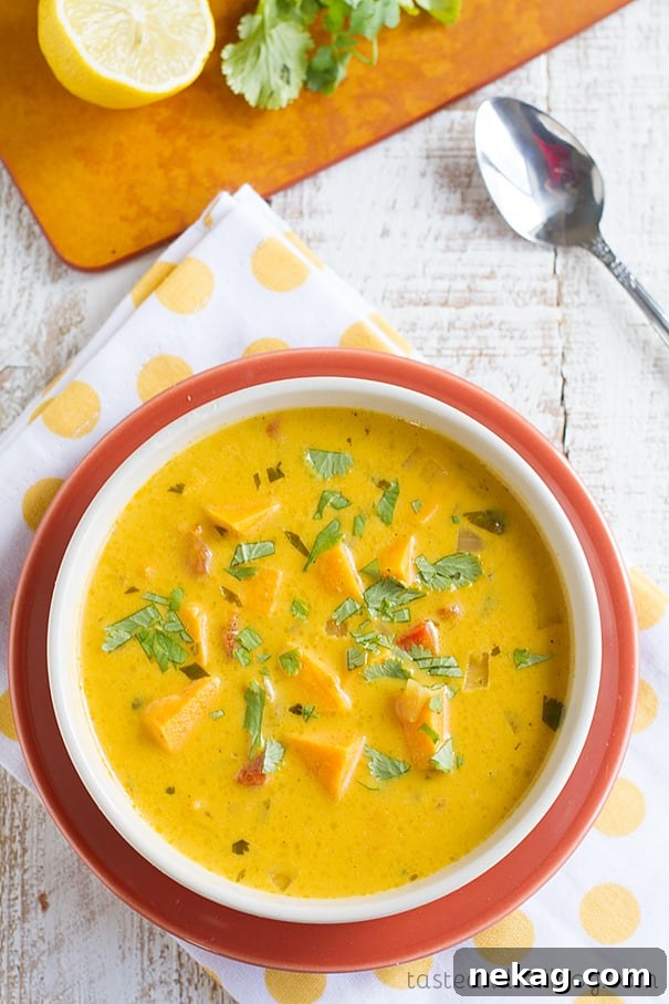 35 Delicious Soup Recipes to Warm Your Weeknight Meals 31 Roasted-Red-Pepper-and-Sweet-Potato-Soup-recipe-Taste-and-Tell-2