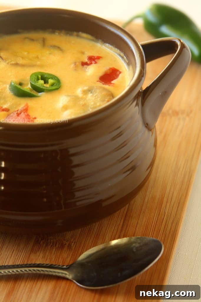 35 Delicious Soup Recipes to Warm Your Weeknight Meals 33 Roasted-Jalapeno-Soup