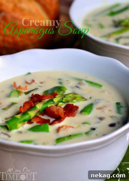 35 Delicious Soup Recipes to Warm Your Weeknight Meals 36 creamy-asparagus-soup-recipe