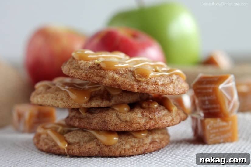 Caramel Apple Snickerdoodle Cookies — Chewy Fall Treats 3 Caramel Apple Snickerdoodles from DessertNowDinnerLater.com