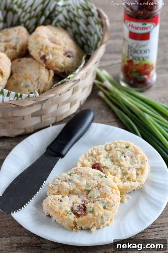 Savory Bacon and Cheddar Biscuits Recipe 2 Bacon Cheddar Biscuits from DessertNowDinnerLater.com