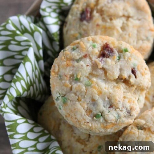 Savory Bacon and Cheddar Biscuits Recipe 5 Bacon Cheddar Biscuits from DessertNowDinnerLater.com