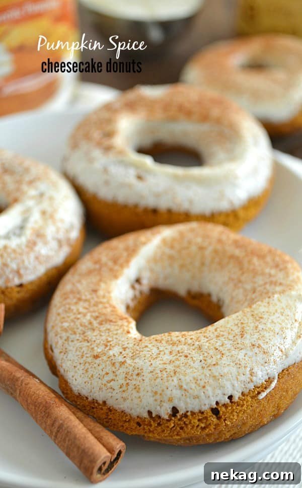Pumpkin Spice Cheesecake Donuts Recipe — Fall Dessert Treat 2 Pumpkin Spice Cheesecake Donuts
