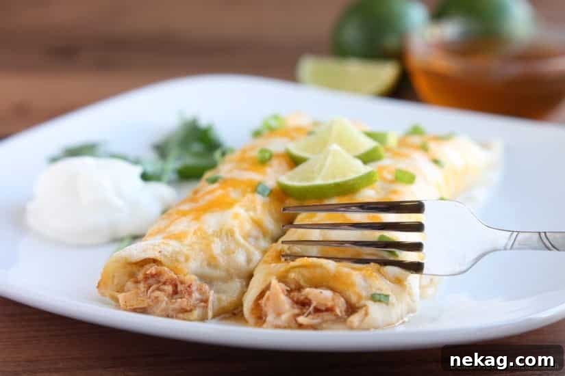 Honey Lime Chicken Enchiladas from DessertNowDinnerLater.com