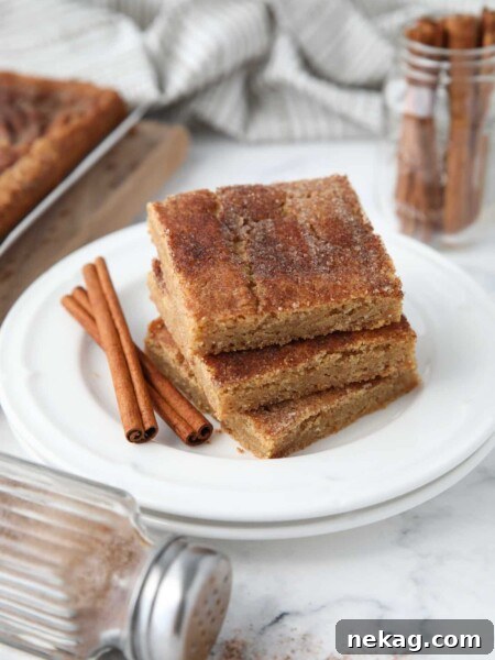 Stack of cinnamon bars on a plate with extra cinnamon-sugar on top and cinnamon sticks on the side.