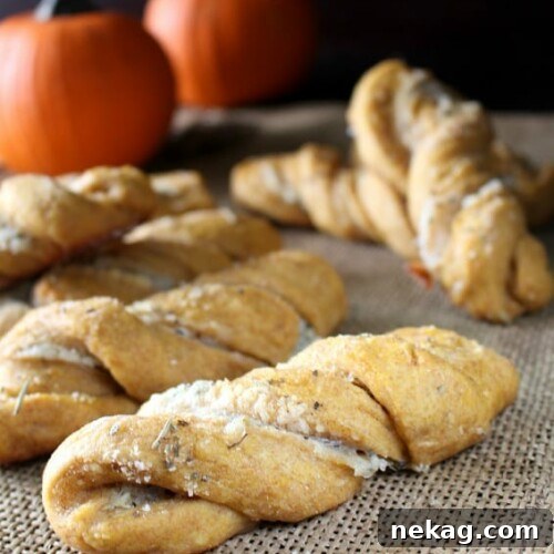 Savory Pumpkin Twists - Soft, moist yeast rolls featuring savory pumpkin flavors