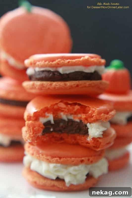 Pumpkin Buttercream Macarons with Pumpkin-Spice Dark Chocolate Ganache 7 Pumpkin Spice Macarons filled with Pumpkin Spice Dark Chocolate Ganache and Pumpkin Buttercream