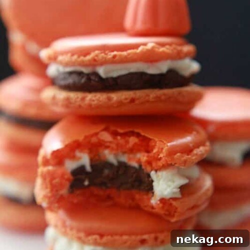 Pumpkin Buttercream Macarons with Pumpkin-Spice Dark Chocolate Ganache 8 Pumpkin Spice Macarons filled with Pumpkin Spice Dark Chocolate Ganache and Pumpkin Buttercream