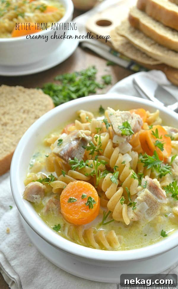 Creamy Chicken Noodle Soup