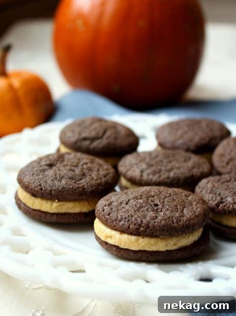 Chocolate Pumpkin Pumpkin Spice Sandwich Cookies (Small)