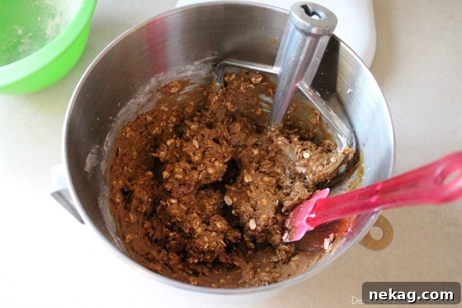 Gingersnap Oatmeal Cookies - Soft baked gingersnap cookies with the addition of old fashioned oats to make a chewy, delectable cookie! From DessertNowDinnerLater.com