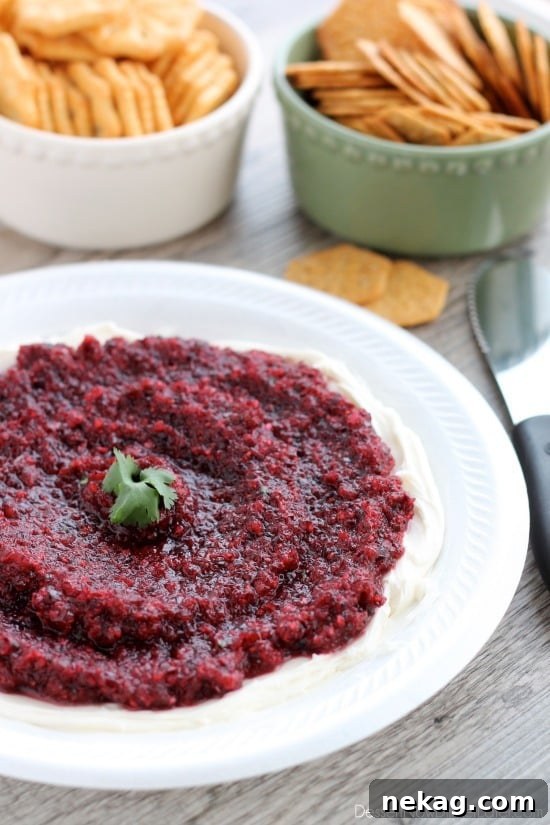 This fresh Cranberry Salsa is pureed and served over cream cheese for a spicy-sweet appetizer.