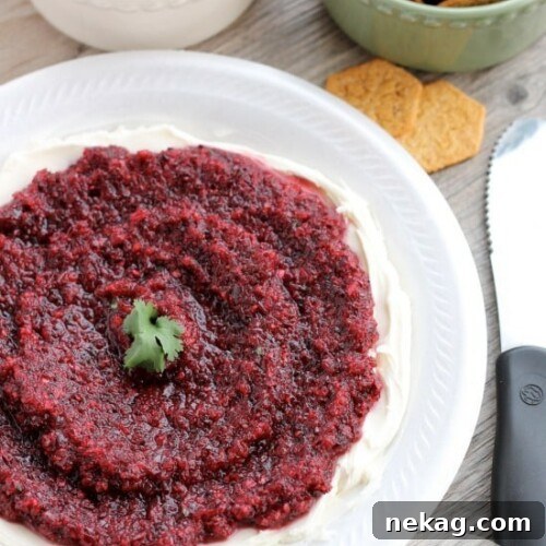 This fresh Cranberry Salsa is pureed and served over cream cheese for a spicy-sweet appetizer.