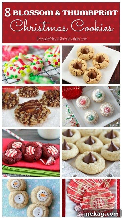 Over 50 Irresistible Christmas Cookie Recipes for Holiday Baking 3 8 Blossom & Thumbprint Christmas Cookies