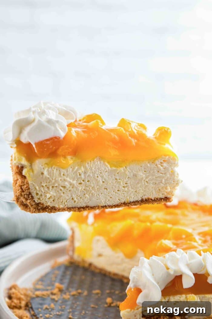 Lifting a slice of peach cheesecake from the pan.