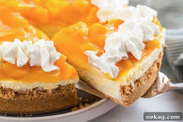 Slice of easy peach cheesecake being lifted from pan.