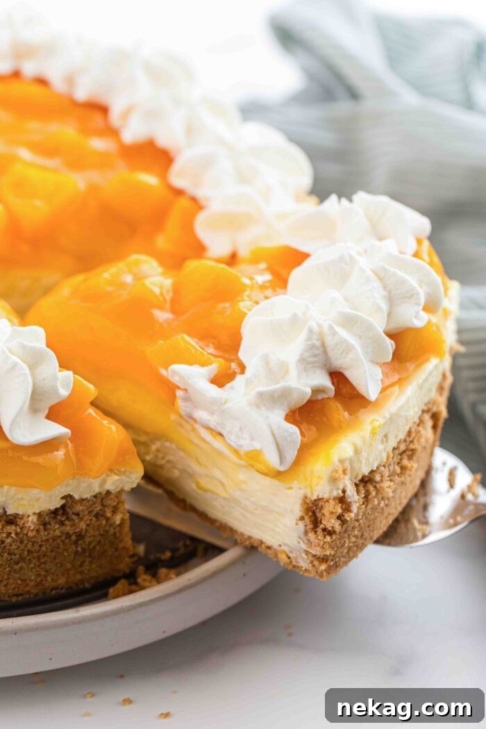 Lifting a slice of no bake peach cheesecake from the pan.