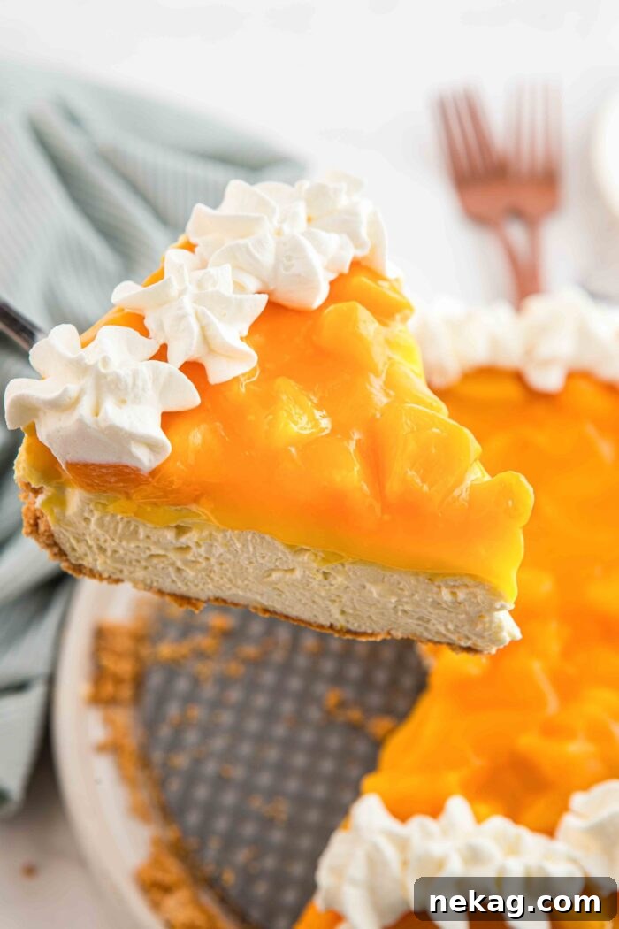 Lifting a slice of peach puree cheesecake from the pan.